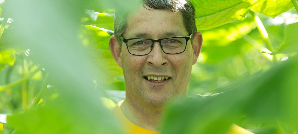 Hans Houben, Fit-Q