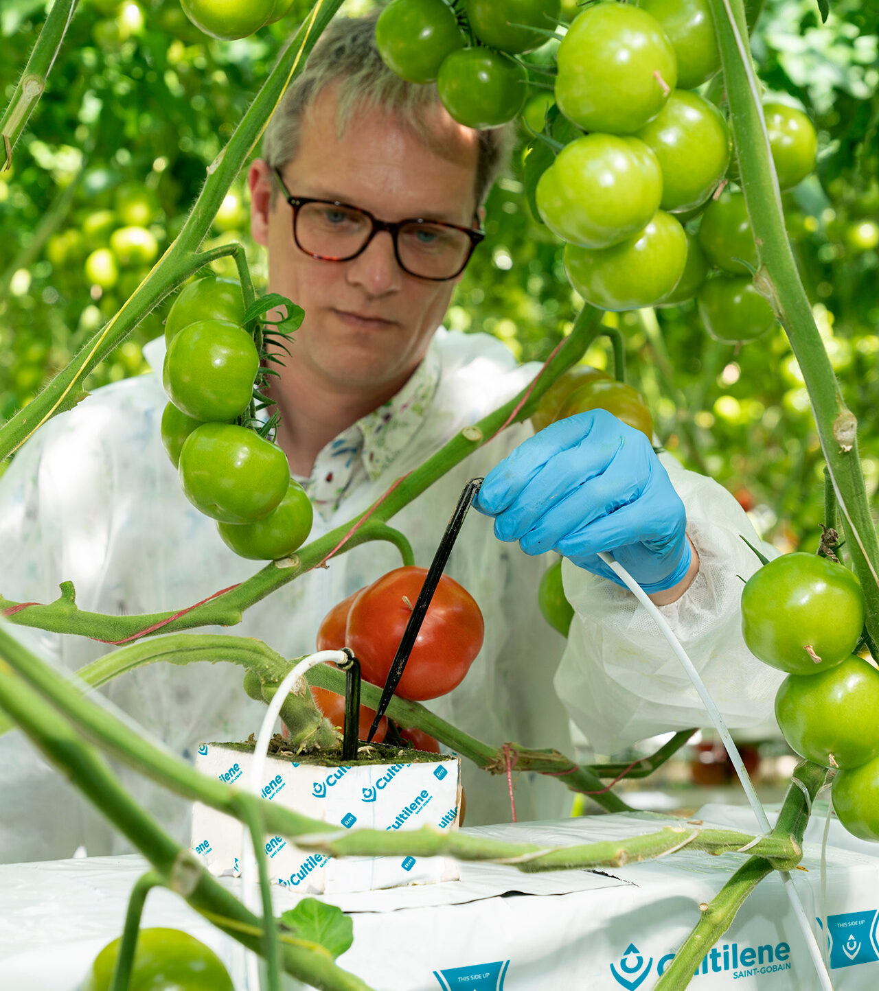 Circular greenhouse event for Dutch growers