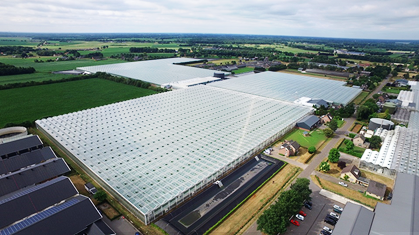 Energy savings fewer diseases and higher yield and quality at Nursery Aarts
