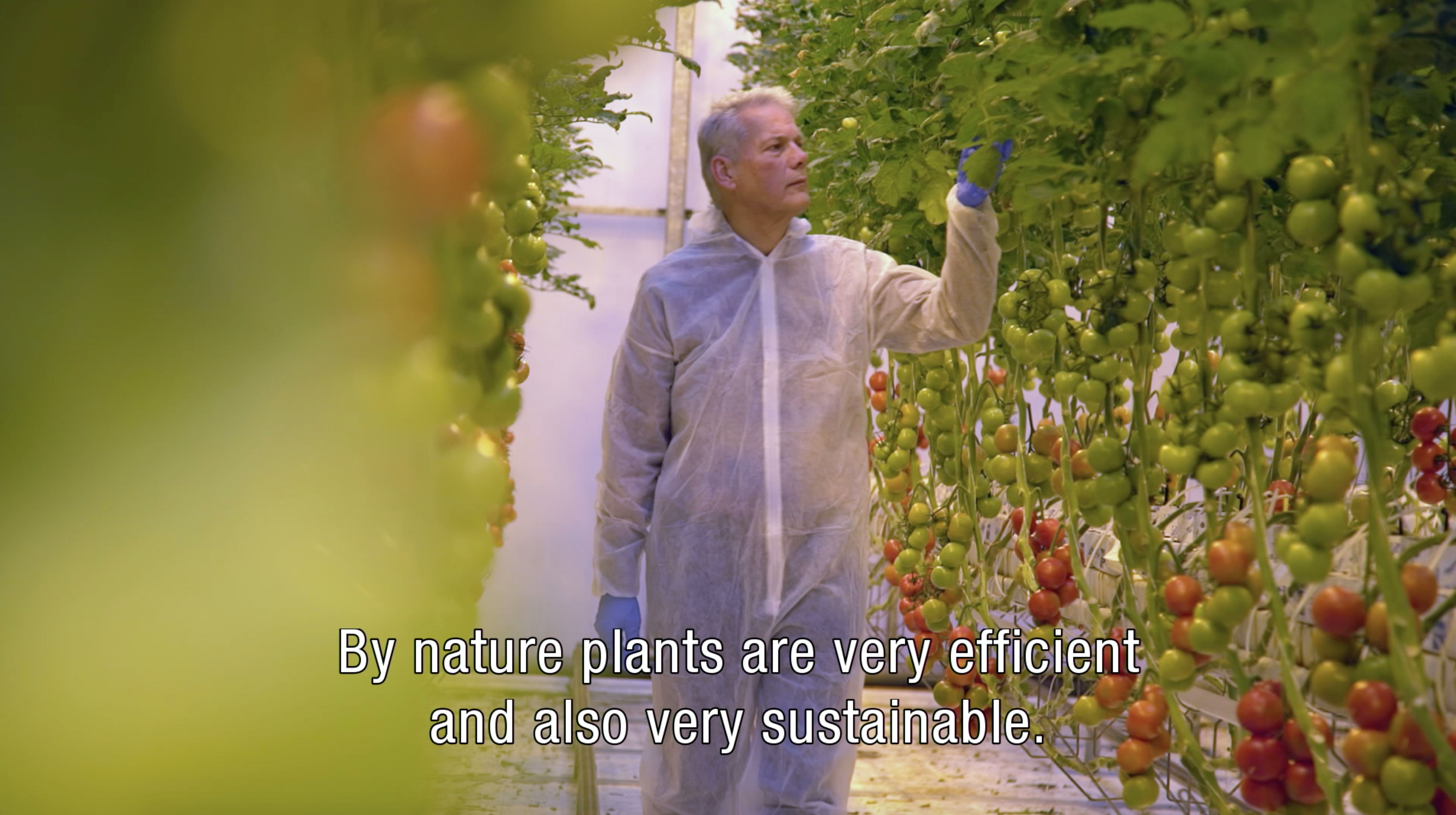 Free webinar series; Implementing Plant Empowerment