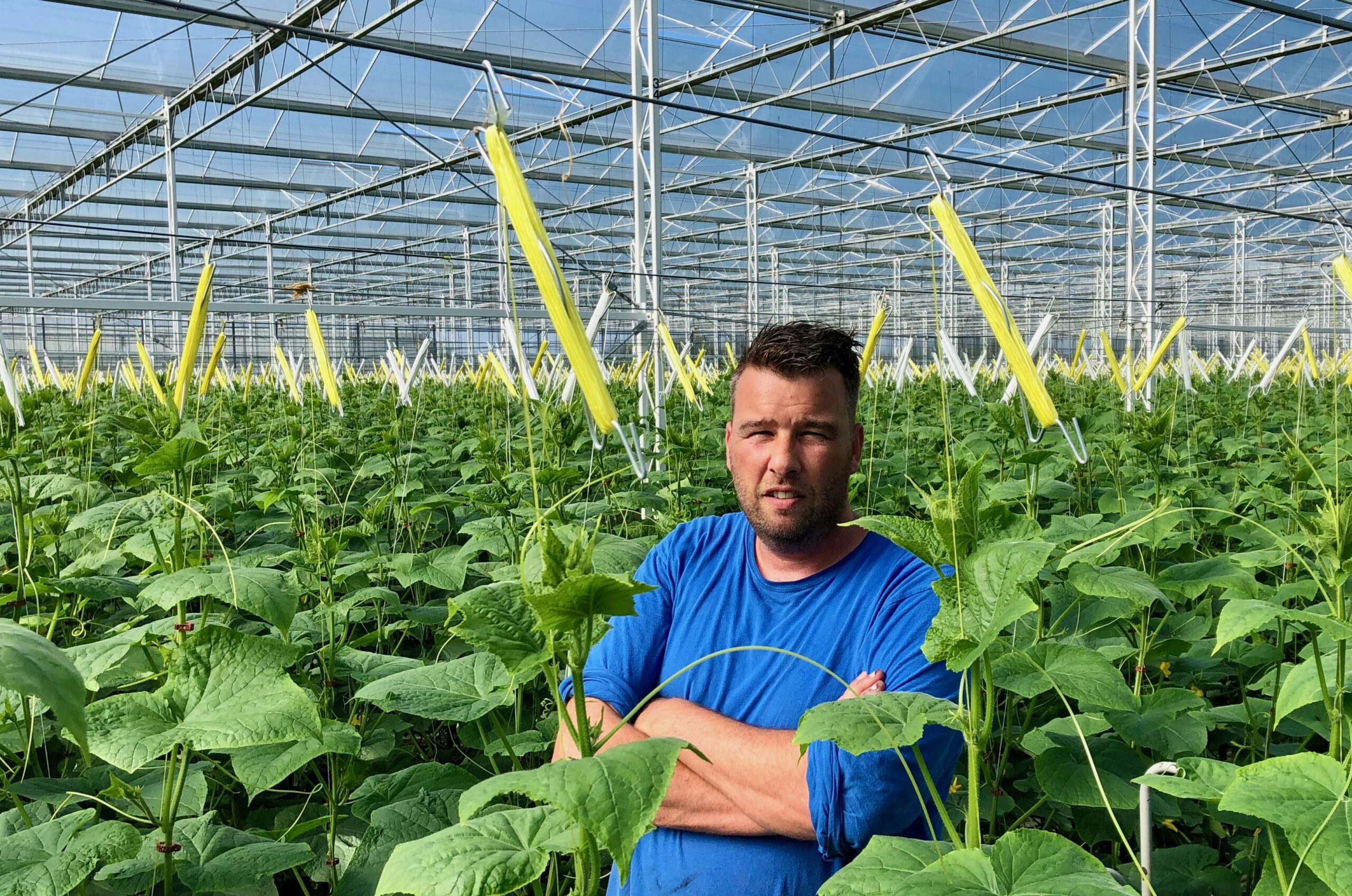 Van Lipzig Tuinderijen