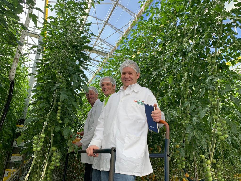 15% profit increase for Mexican grower