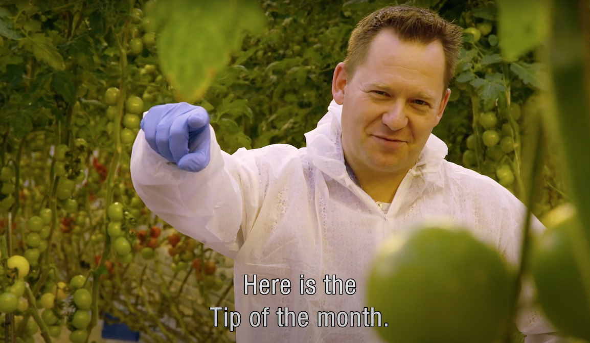 Tip: Always keep your plants active