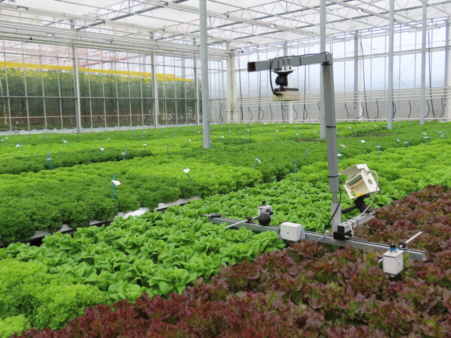 Plant Empowerment at BASF Vegetable Seeds