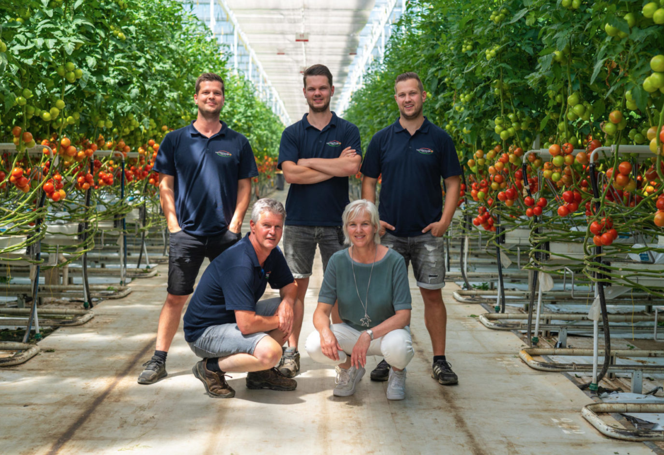 Van Marrewijk Tomaten