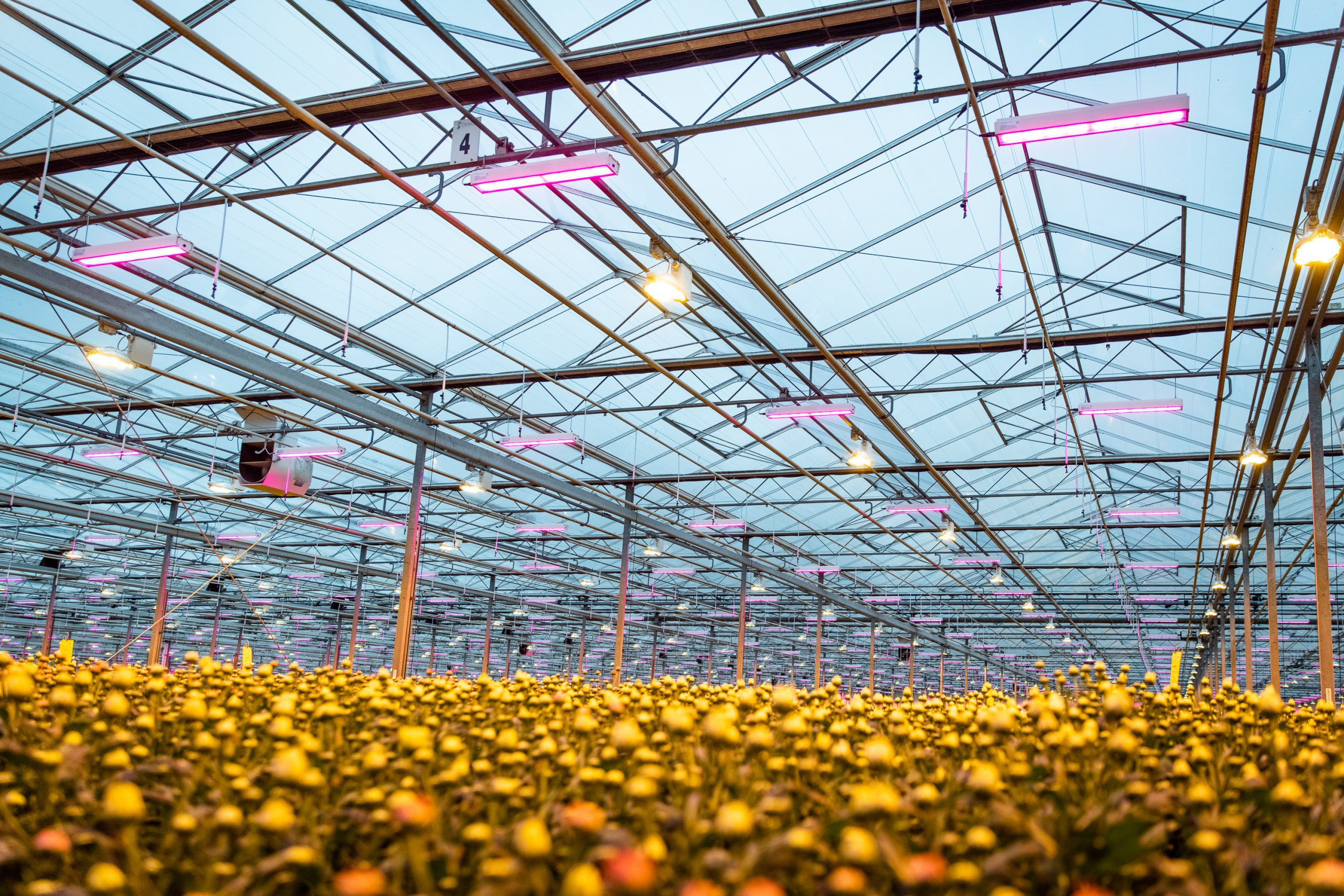 Tip: Control the Climate and lighting system