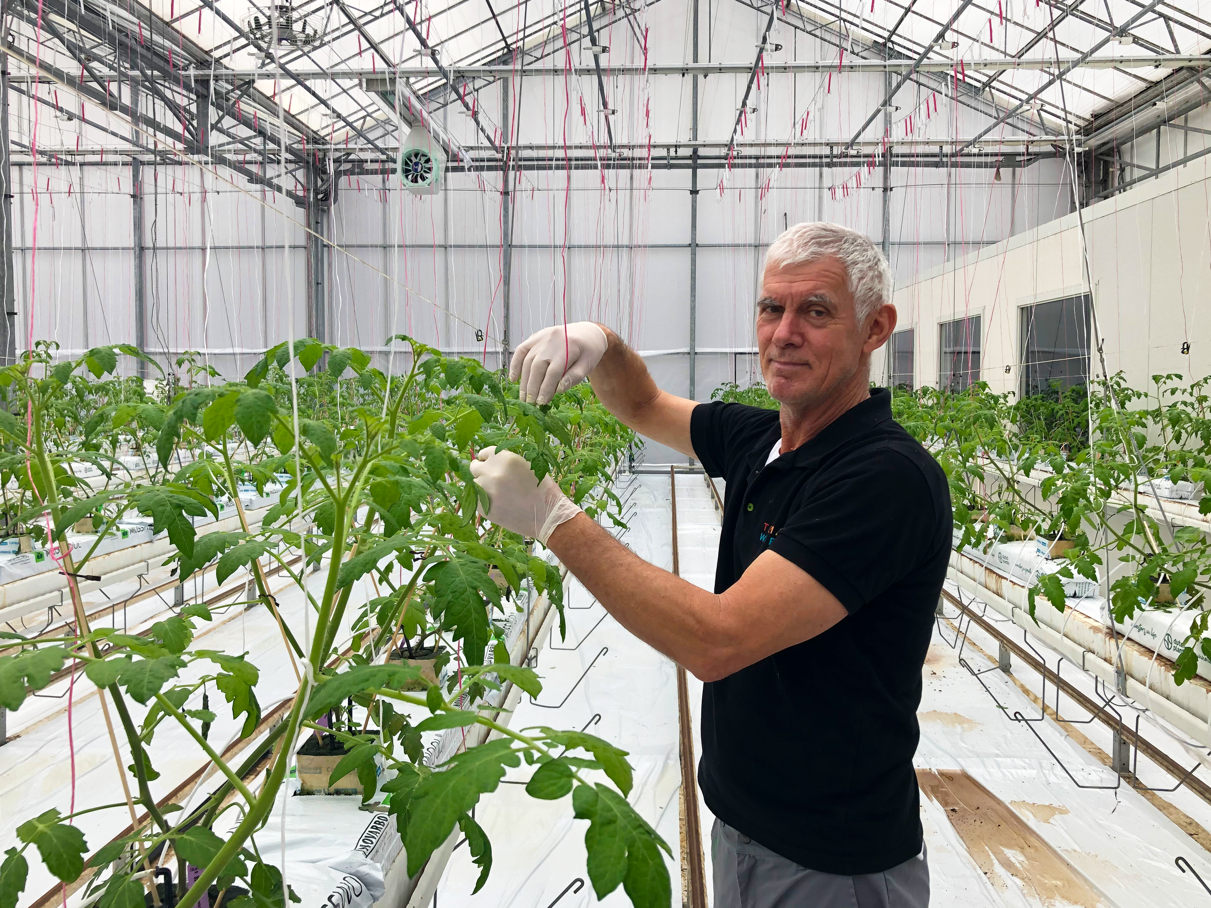 Plant Empowerment can contribute to tackling the global food challenge