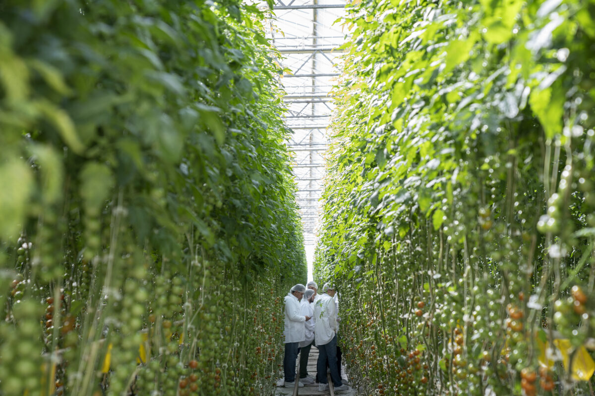 Tip: Make a plan before the beginning of your crop cycle