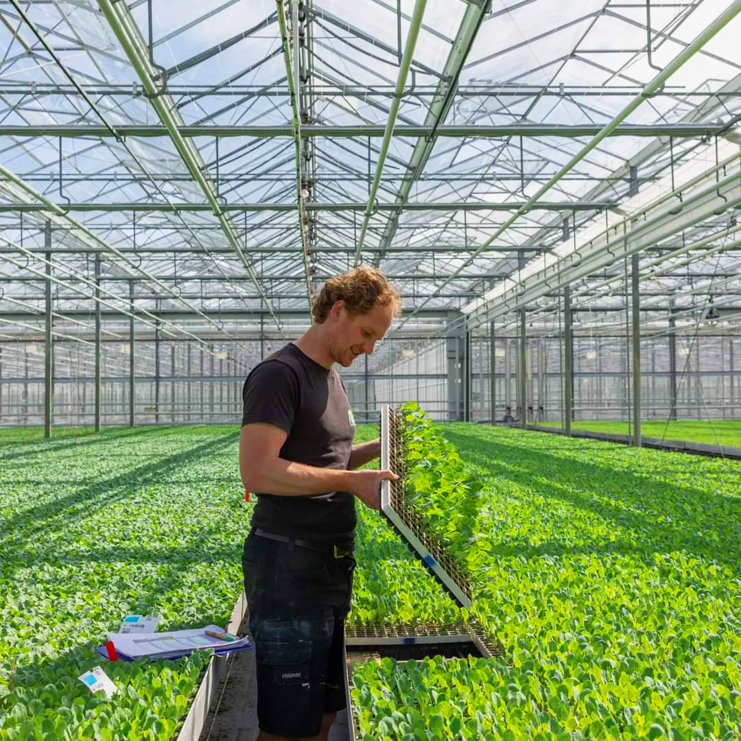Gitzels improved their yield plant quality and efficiency with Plant Empowerment