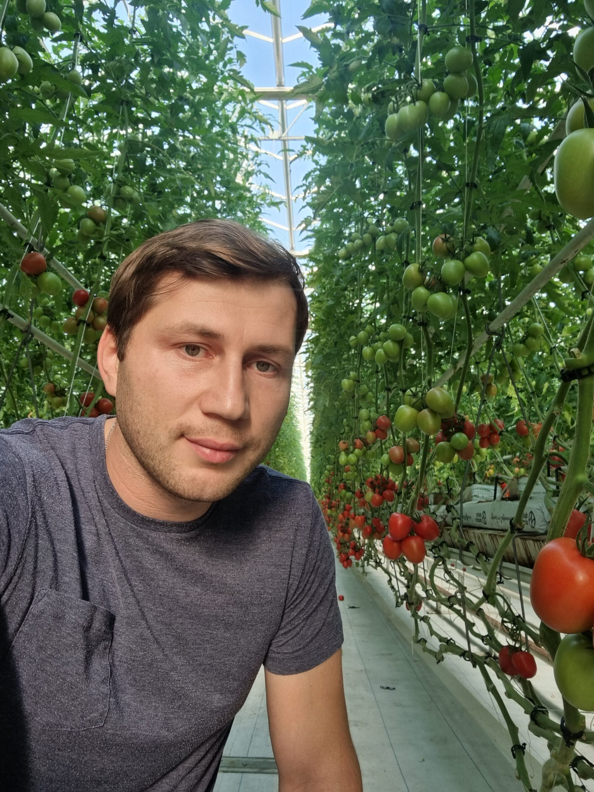 JSC Georgian Greenhouse Corporation creates a steadier growing environment