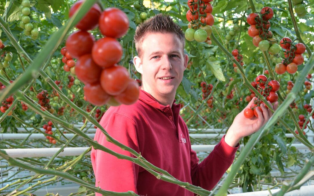 Happier plants, happier growers and more profit for Vereijken Kwekerijen