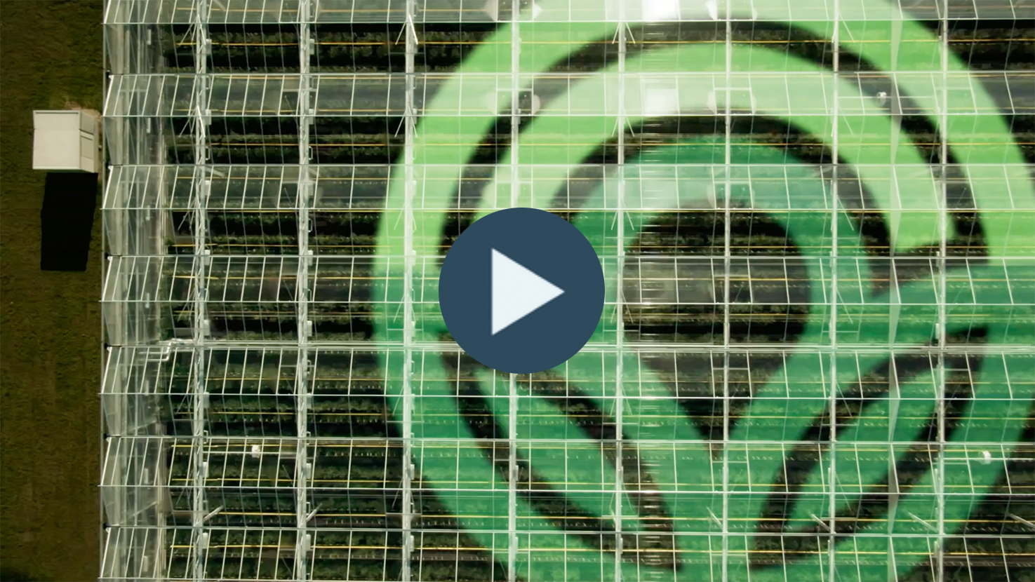 Plant Empowerment results in happier plants, happier growers and more profit for Vereijken Kwekerijen