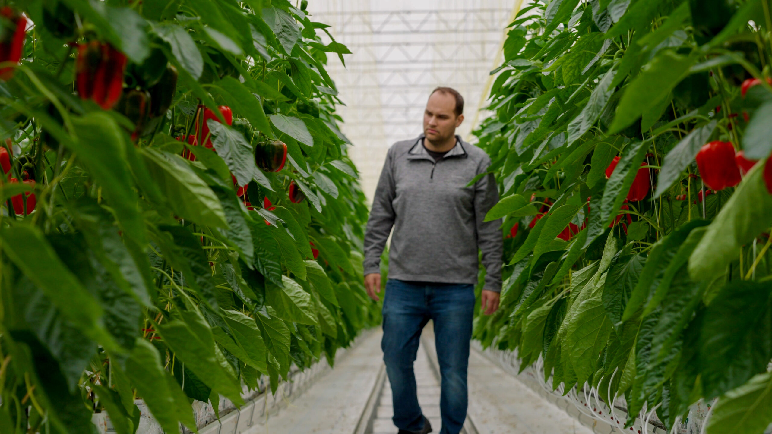 Small changes guided by Plant Empowerment make a big difference for Canada’s Twin Creeks Greenhouse