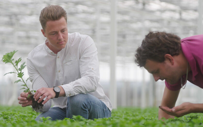 Meet the consultants: Sander Vermeer