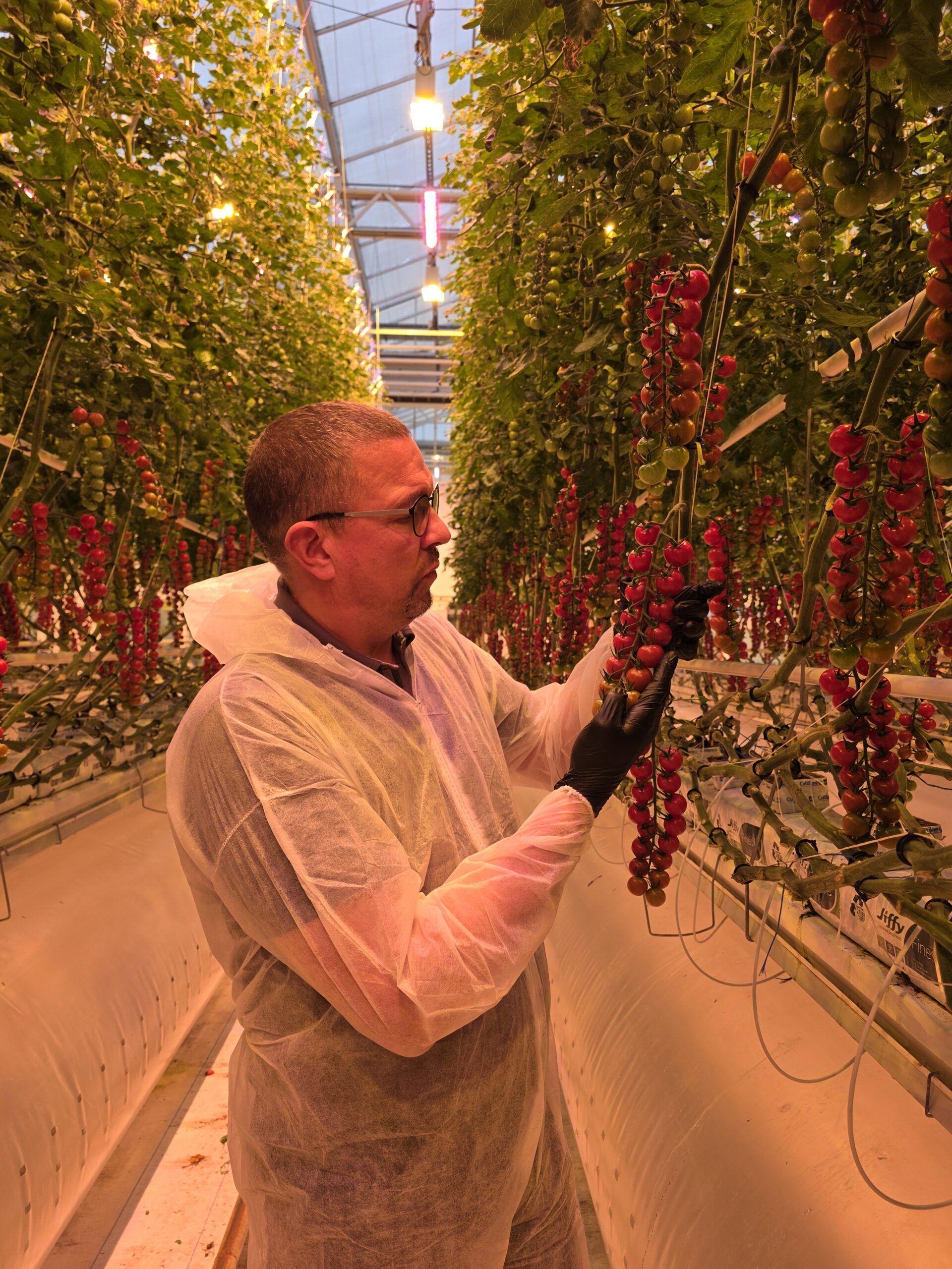 From inspiration to implementation: the value of the Plant Empowerment knowledge platform