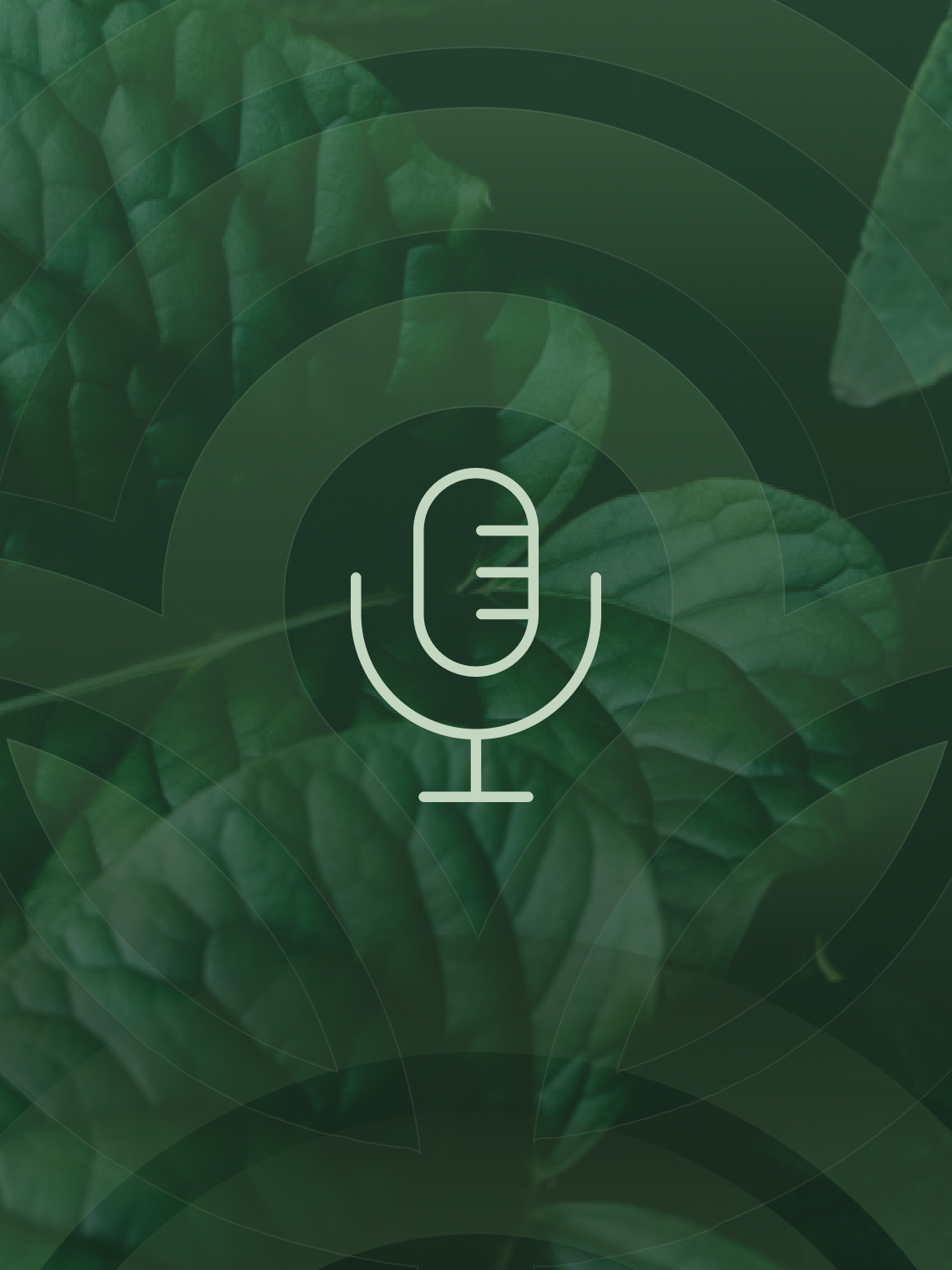 Plant Health is one of the most talked-about topics in horticulture today. But what does it actually mean? And how do you translate theory into daily greenhouse practice?