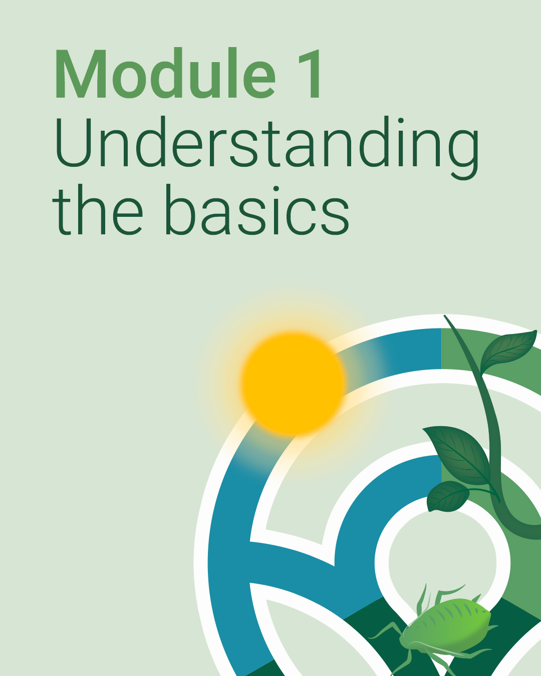 Module 1: Understanding the basics