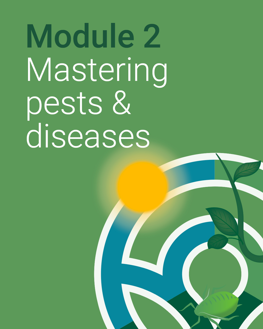Module 2: Mastering pests & diseases