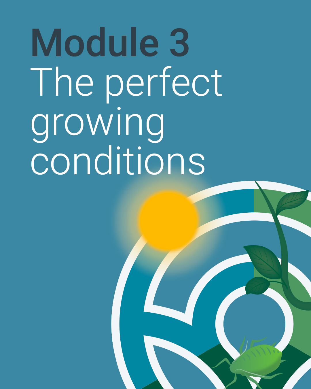 Module 3: The perfect growing conditions