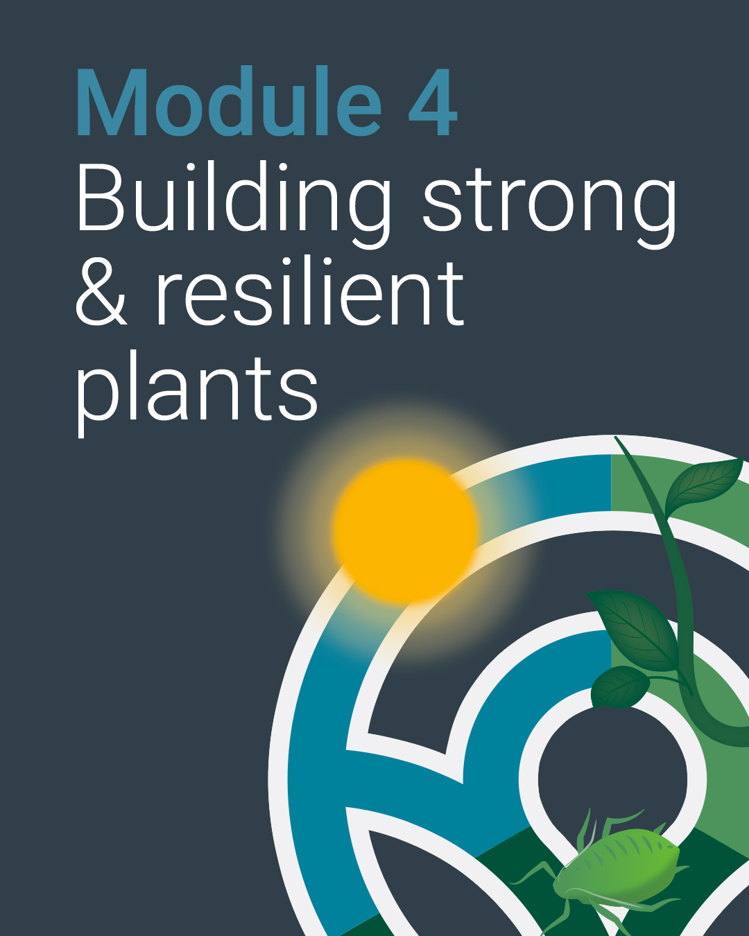 Module 4: building strong & resilient plants