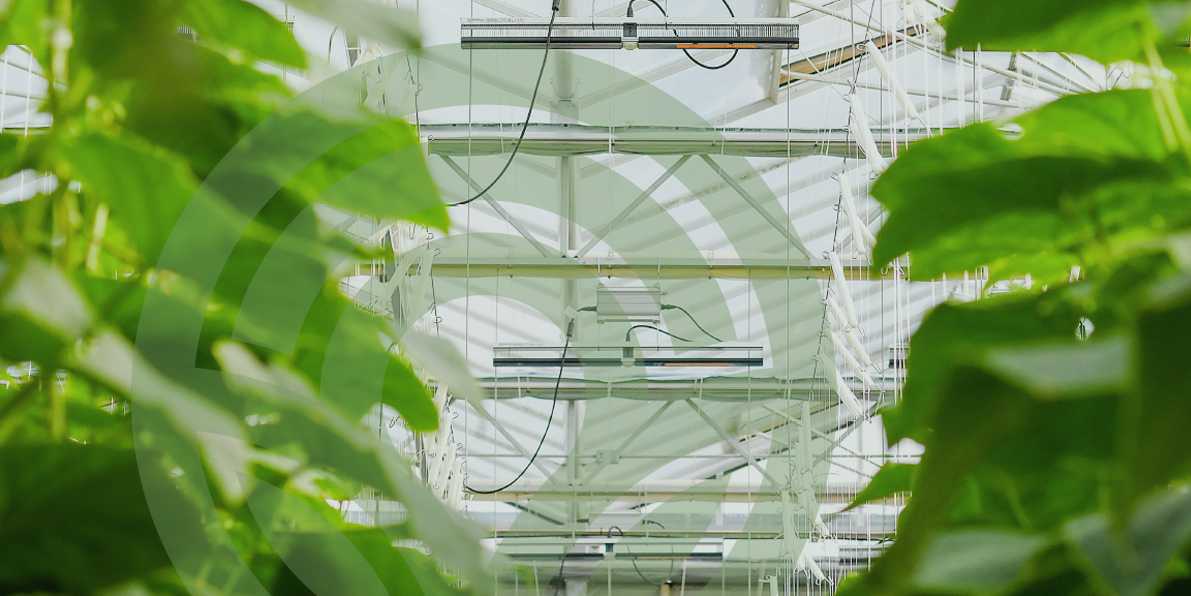 Energy-Efficient Growing