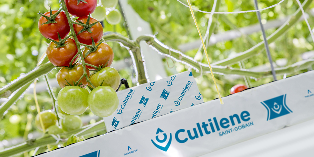 Saint-Gobain Cultilene