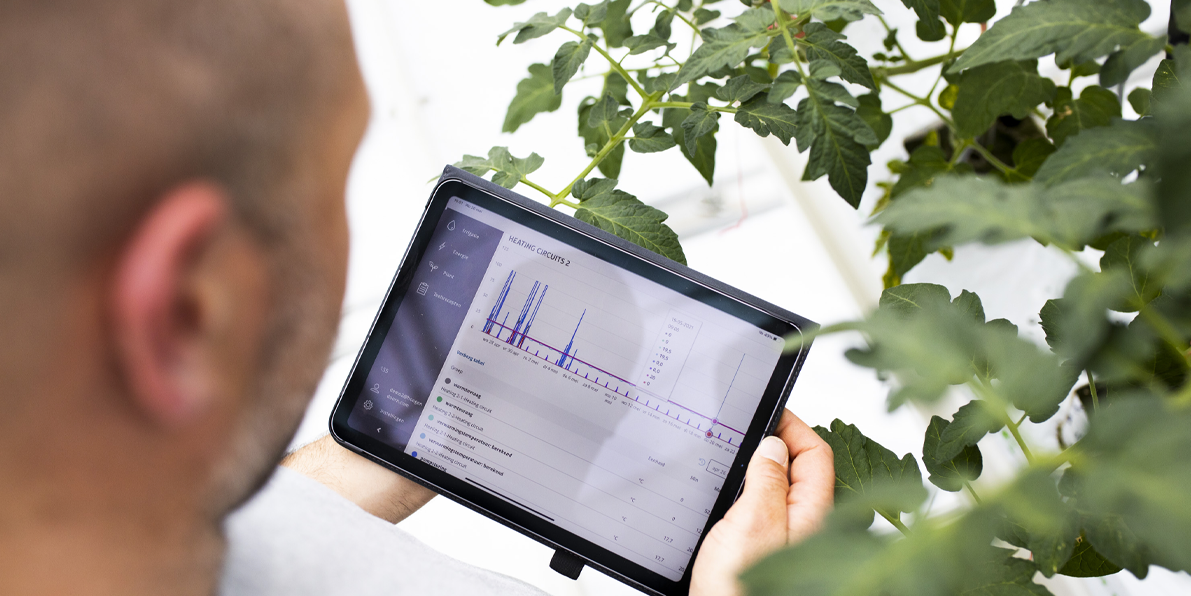 Hoogendoorn Growth Management