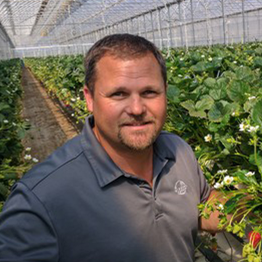 Tim de Kok - Windset Farms