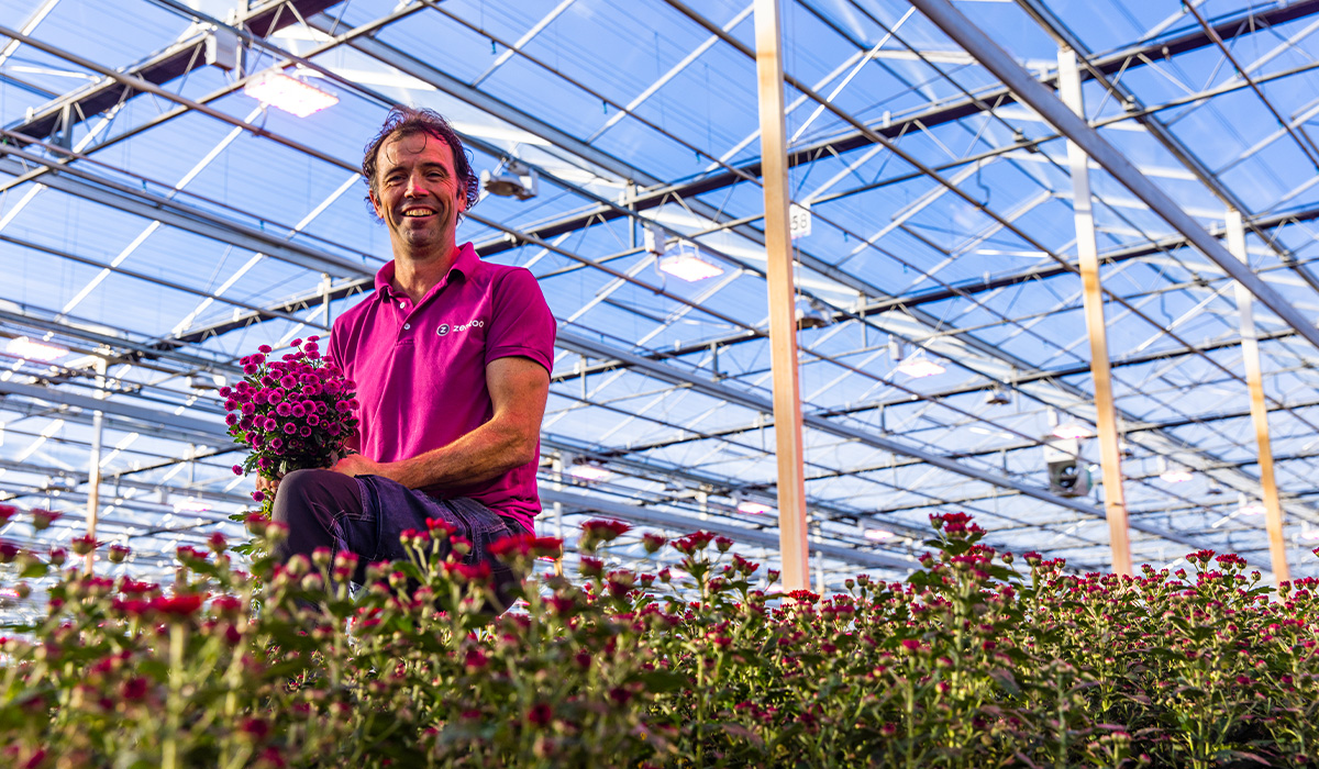 How artificial lighting can optimize efficiency