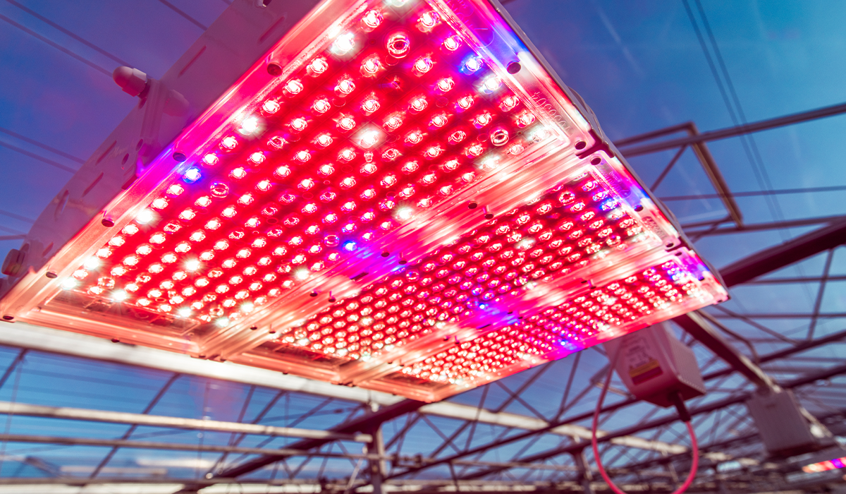 E-book lighting: How artificial lighting can optimize efficiency