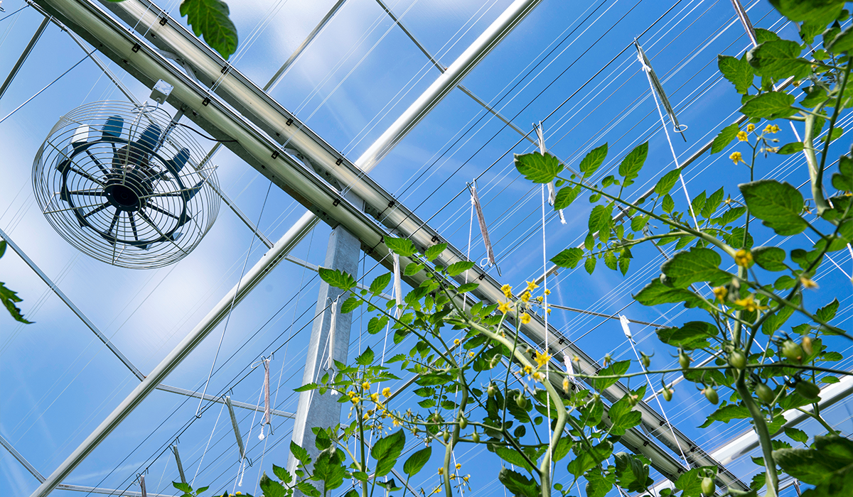 Free course: How to create a homogeneous climate