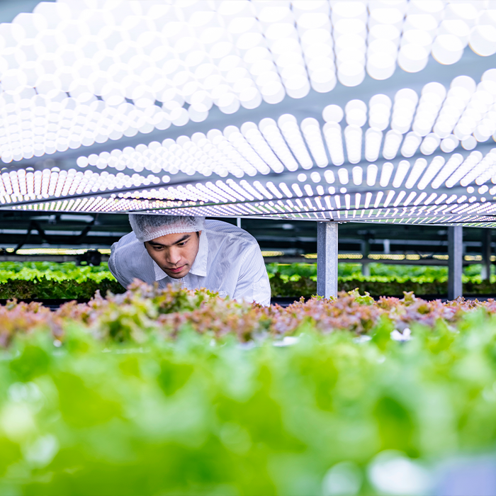 Plant Empowerment Workshop during GreenTech North America