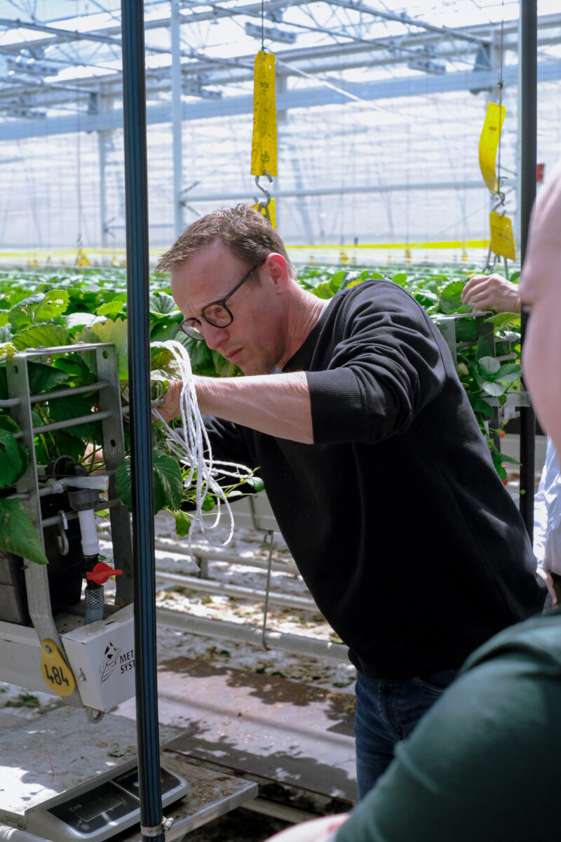 The power of integrated solutions