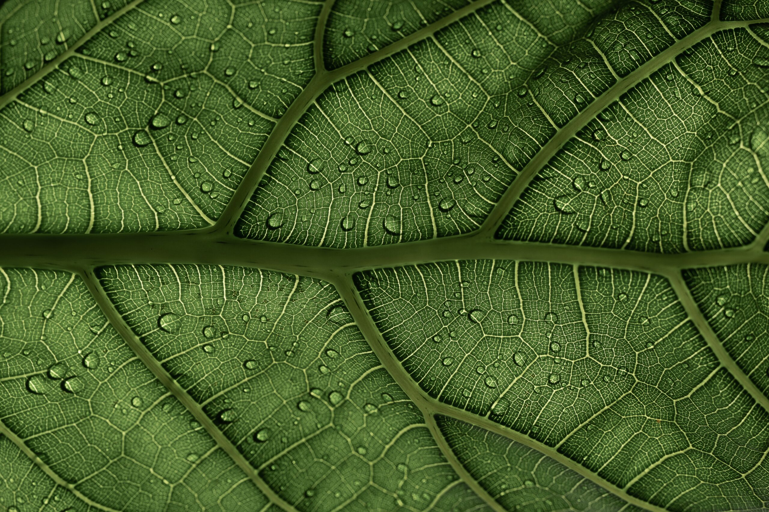 Free webinar: Understanding pH & Eh